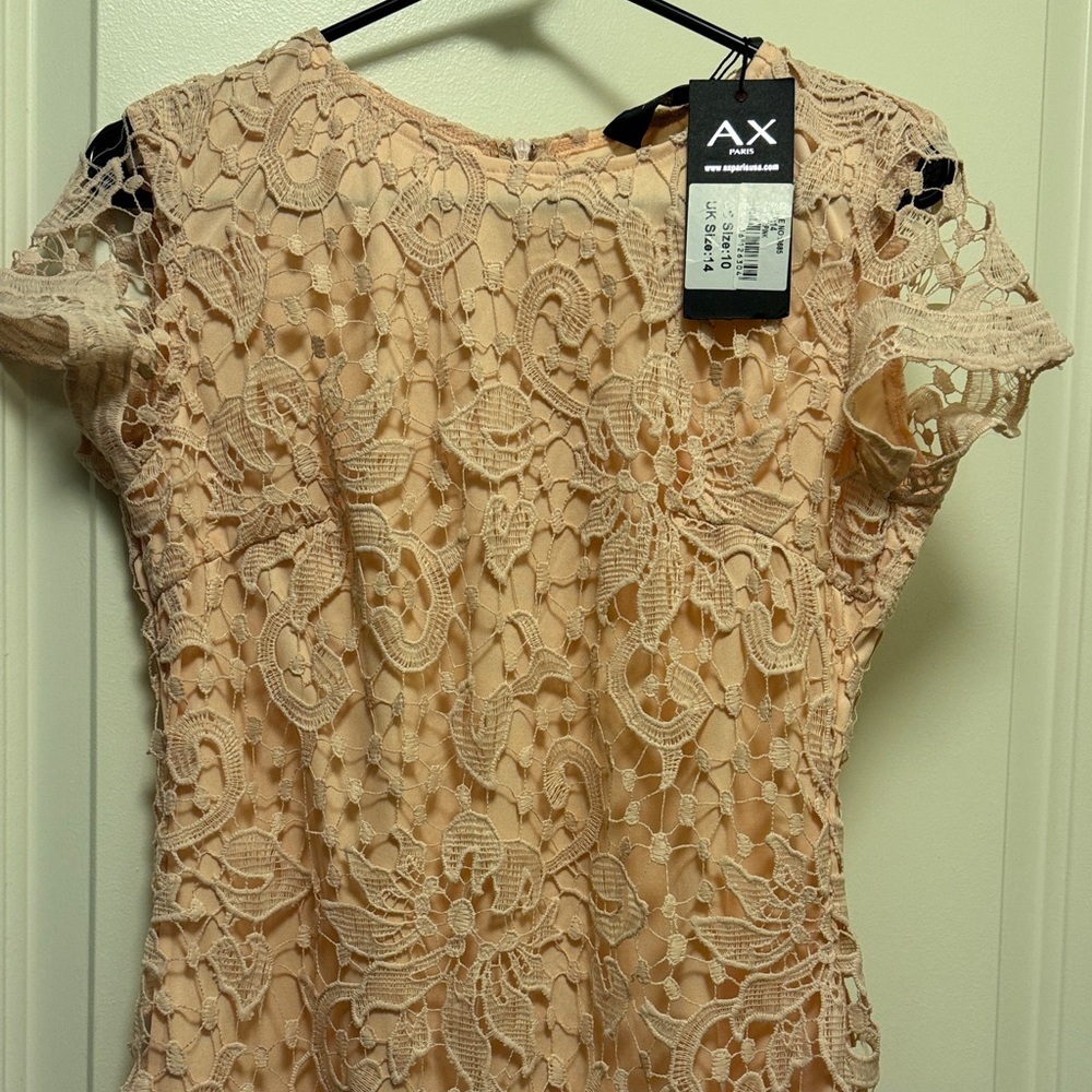 AX Lace Floral Dress-pink